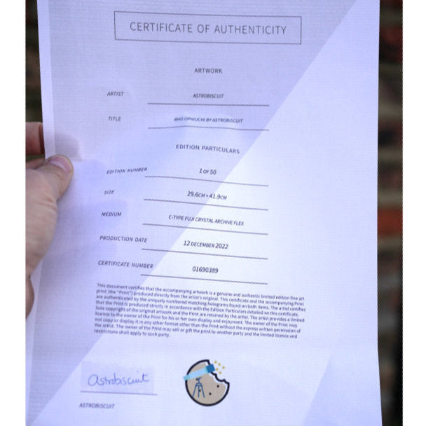 The Sun in Colour: Unique Limited Edition Print (Medium)