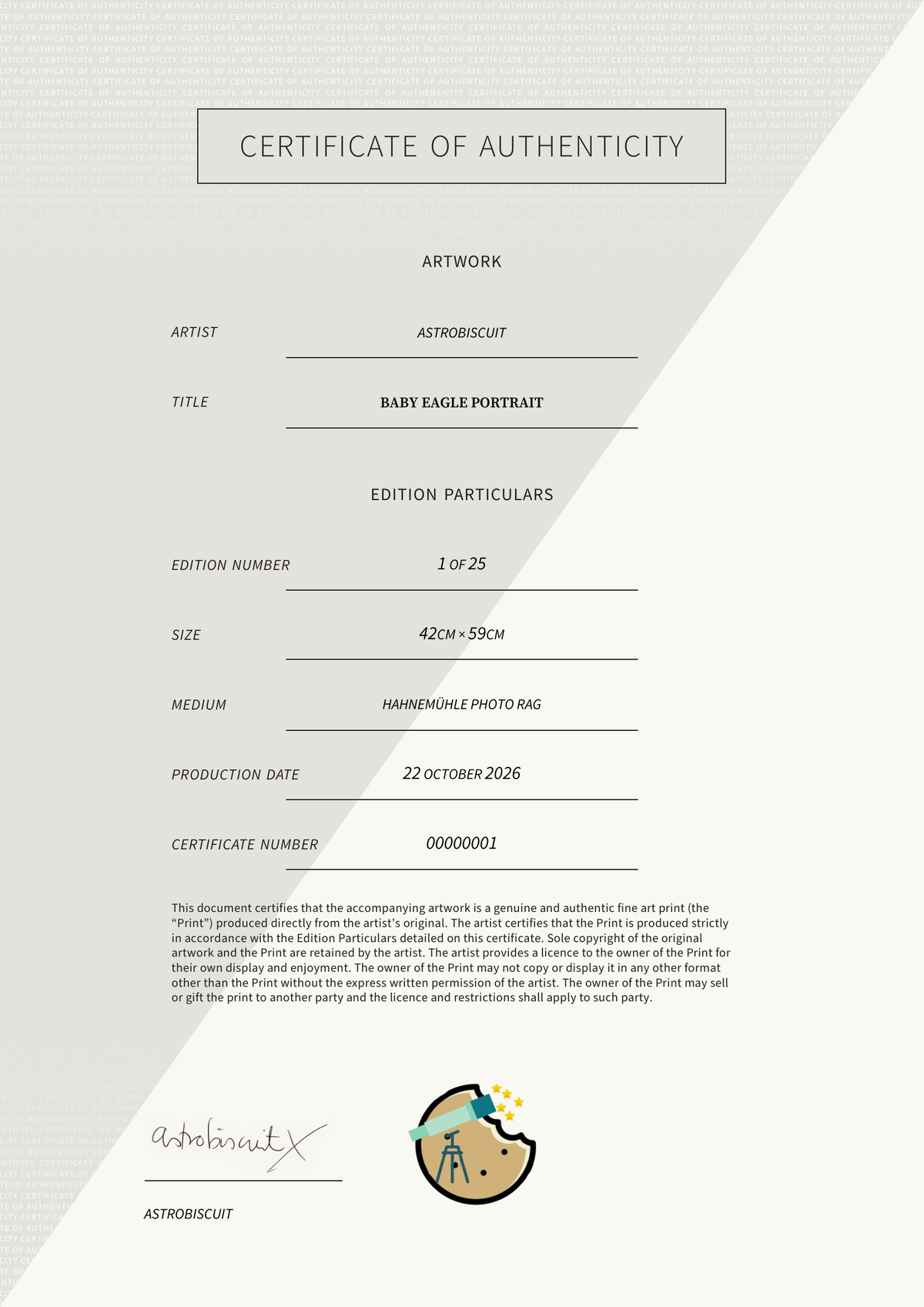Baby Eagle Portrait — Certificate of Authenticity