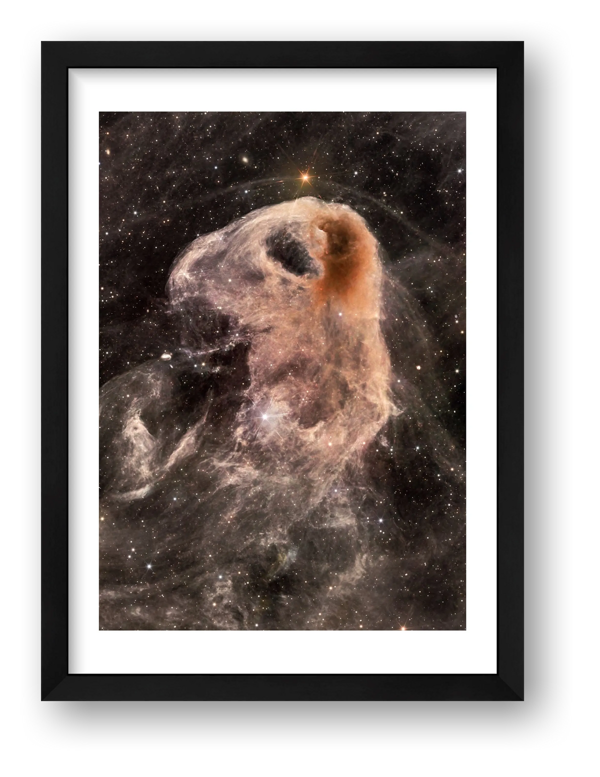 Baby Eagle Portrait — framed