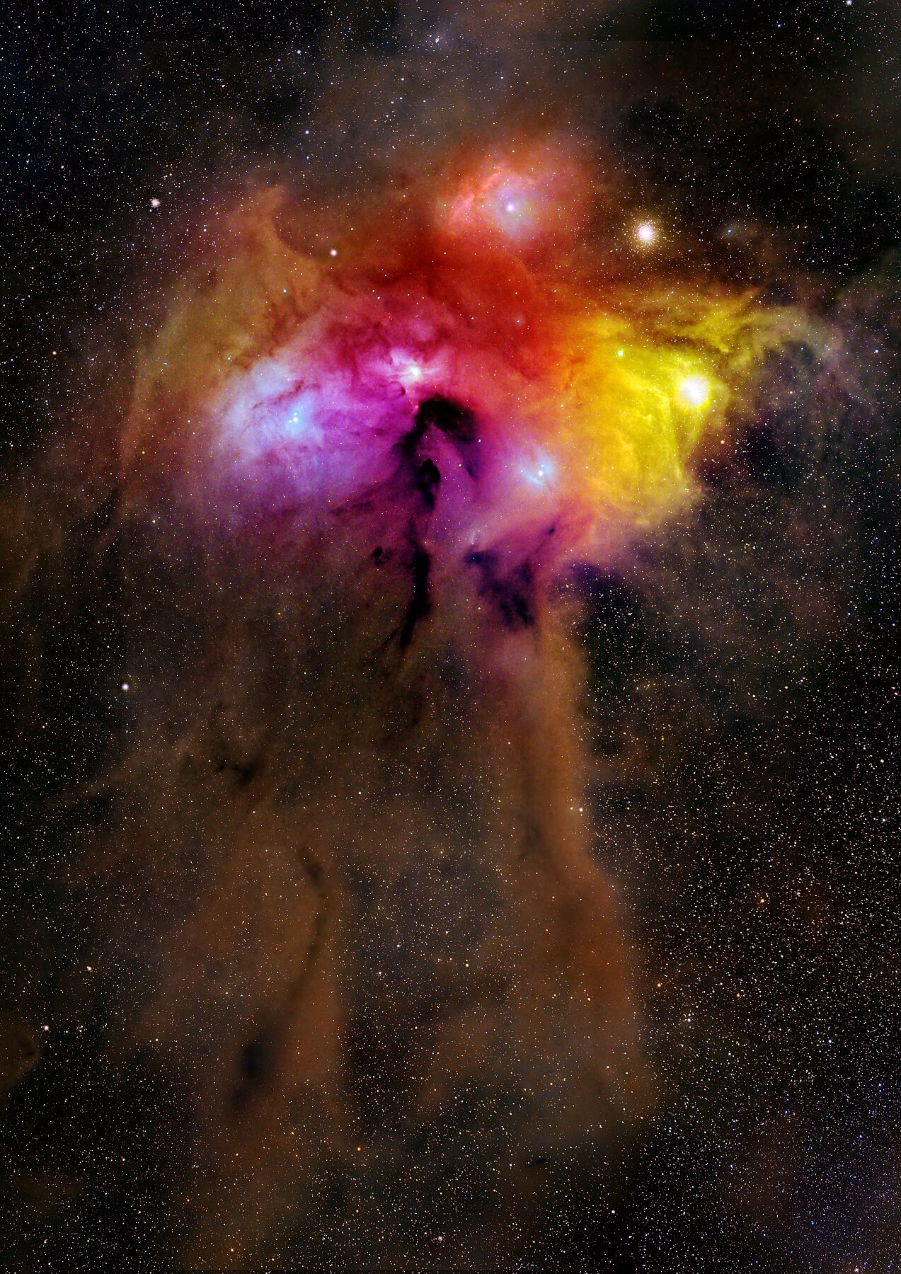 astrobiscuit photograph of Rho Ophiuchi